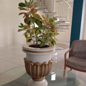 Flower Pot 11