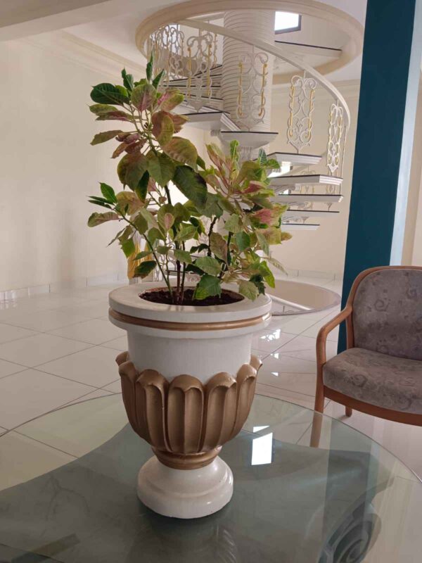 Flower Pot 11